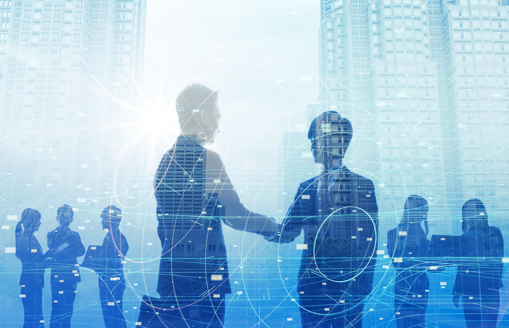 vsi consulting